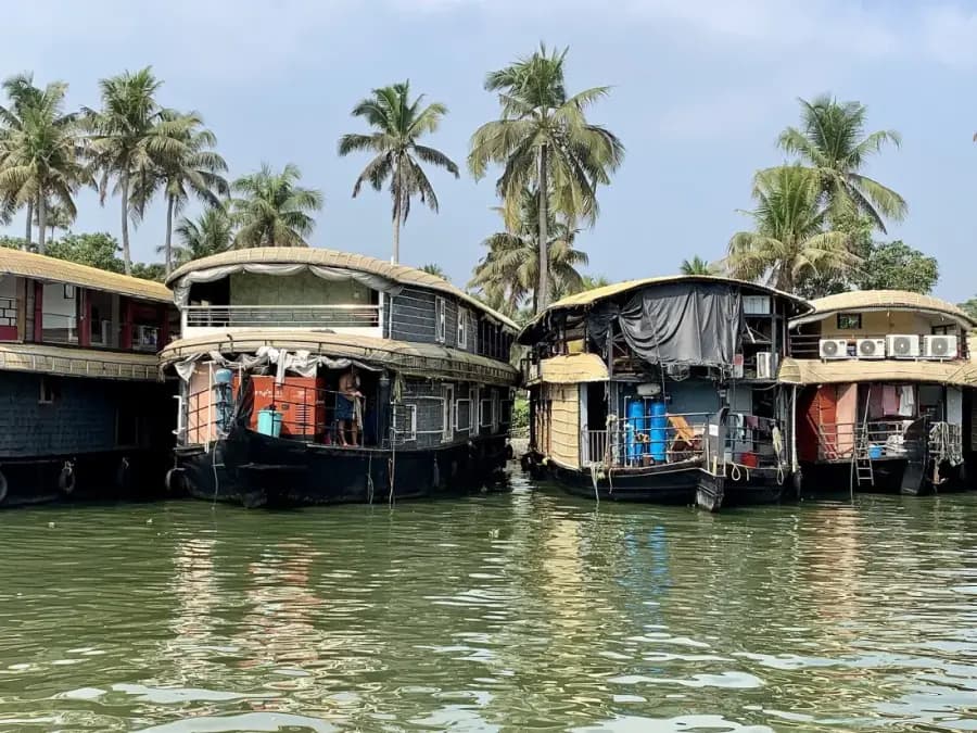 Kerala Backwaters: Alleppey Houseboat & Kayaking photo 4