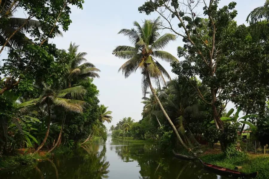 Kerala Backwaters: Alleppey Houseboat & Kayaking photo 5