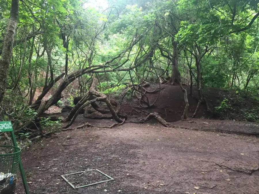 Ananthagiri Hills Trek & Kotepally Kayaking photo 3