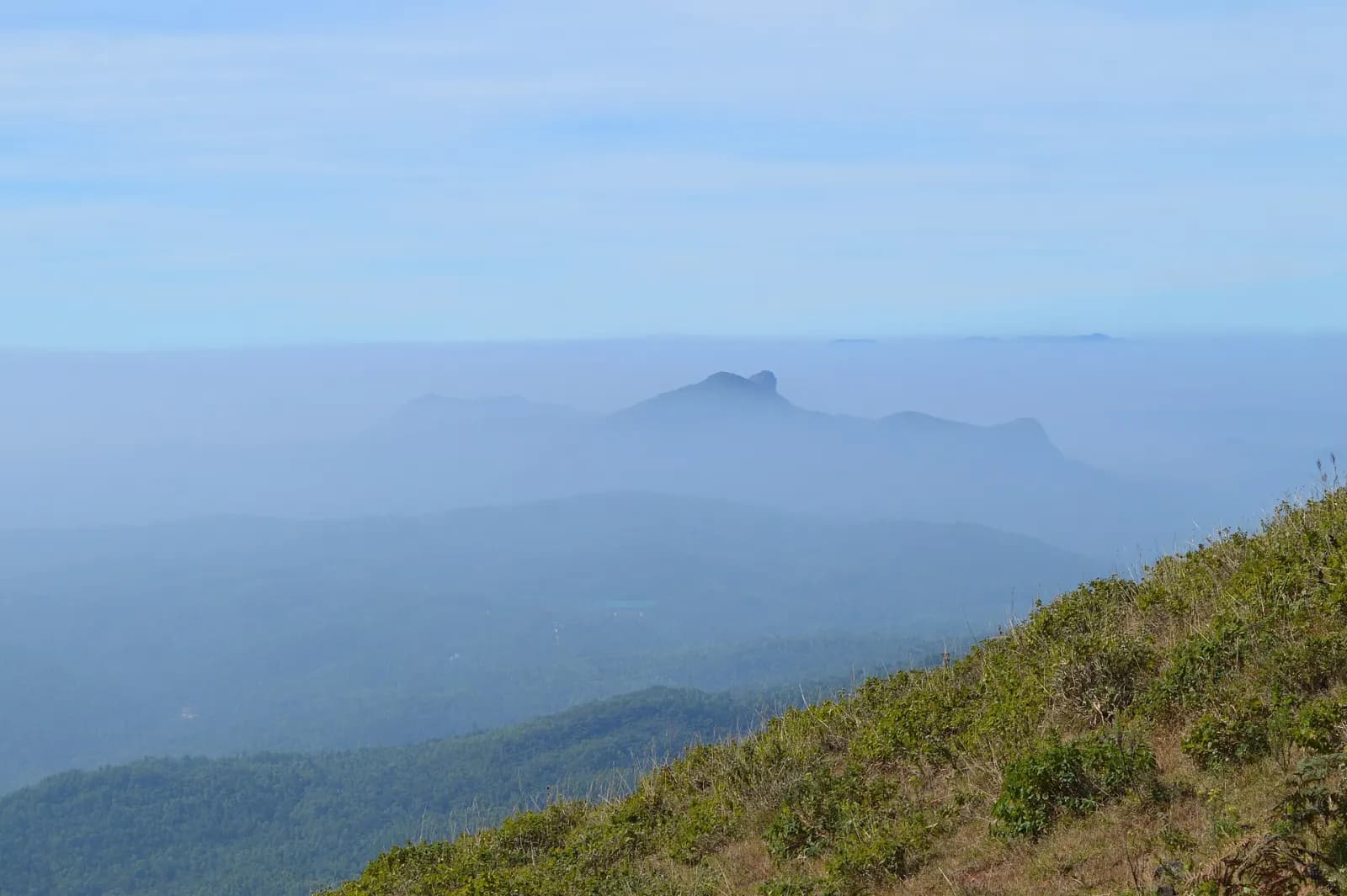 Chikmagalur Coffee Trails & Mullayanagiri Sunrise