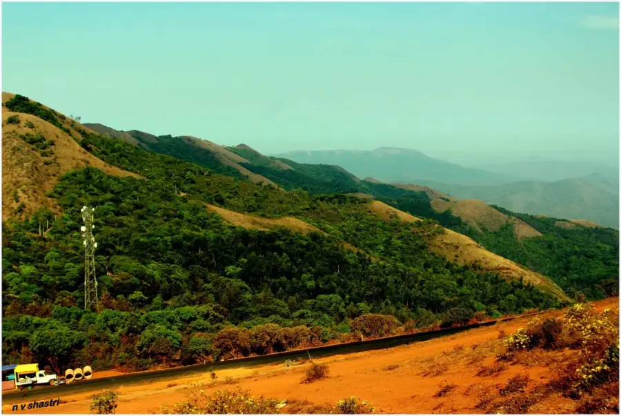 Chikmagalur Coffee Trails & Mullayanagiri Sunrise photo 5