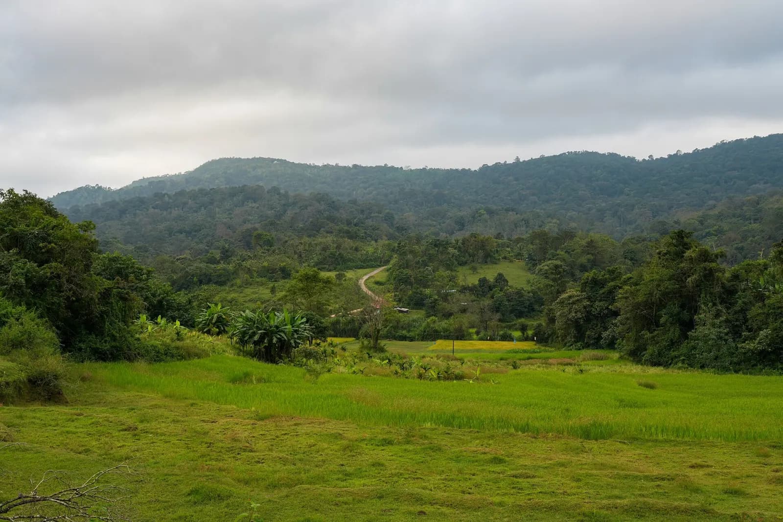 Coorg Weekend Getaway with Abbey Falls & Estate Stay