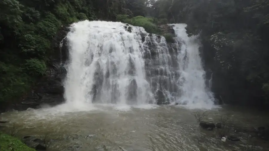 Coorg Monsoon Escape: Mandalpatti Jeep Trail photo 4