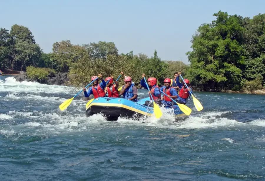 Dandeli Rafting & Kali River Jungle Camp photo 3