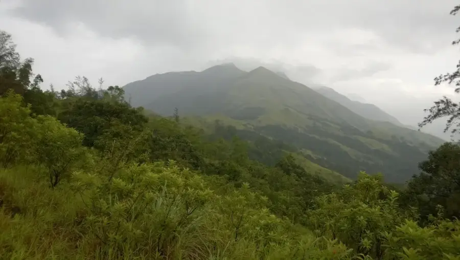 Kumara Parvatha Trek from Kukke Subramanya photo 4