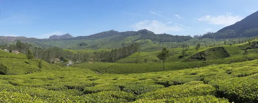 Munnar Tea Country Weekend Escape photo 3