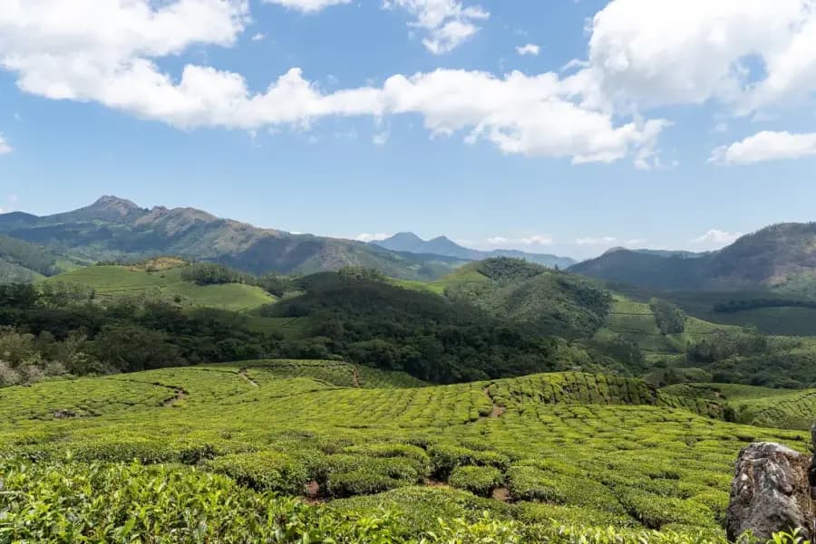 Munnar Tea Country Weekend Escape photo 4