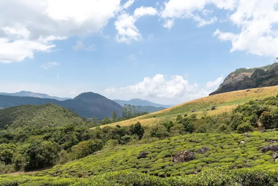 Munnar Tea Country Weekend Escape photo 5