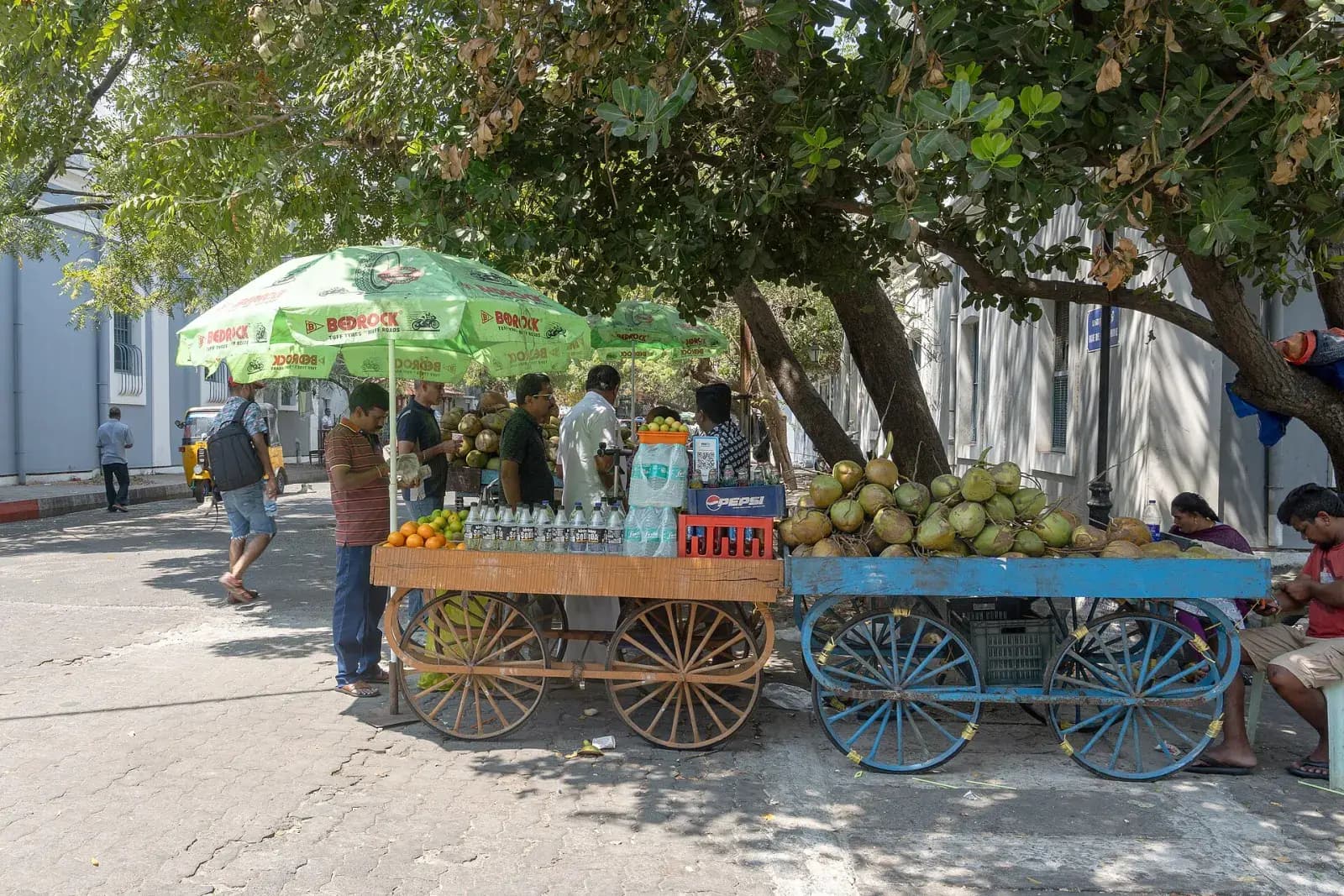Pondicherry French Quarter & Auroville Weekend