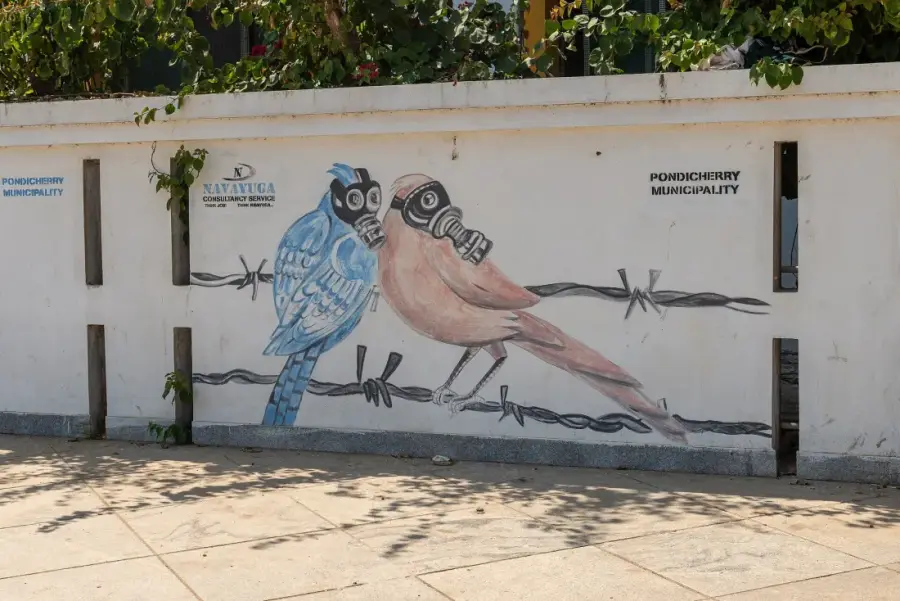 Pondicherry French Quarter & Auroville Weekend photo 4