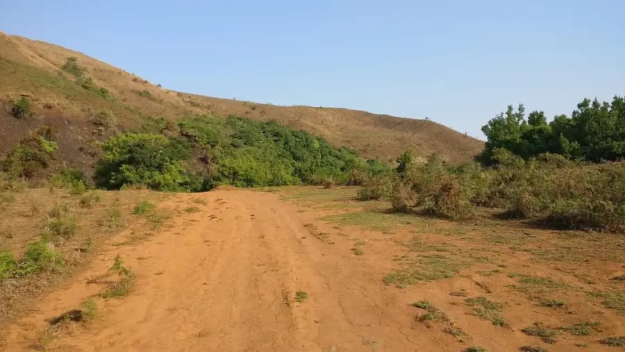 Sakleshpur Ghat Trek & Riverside Camping photo 5