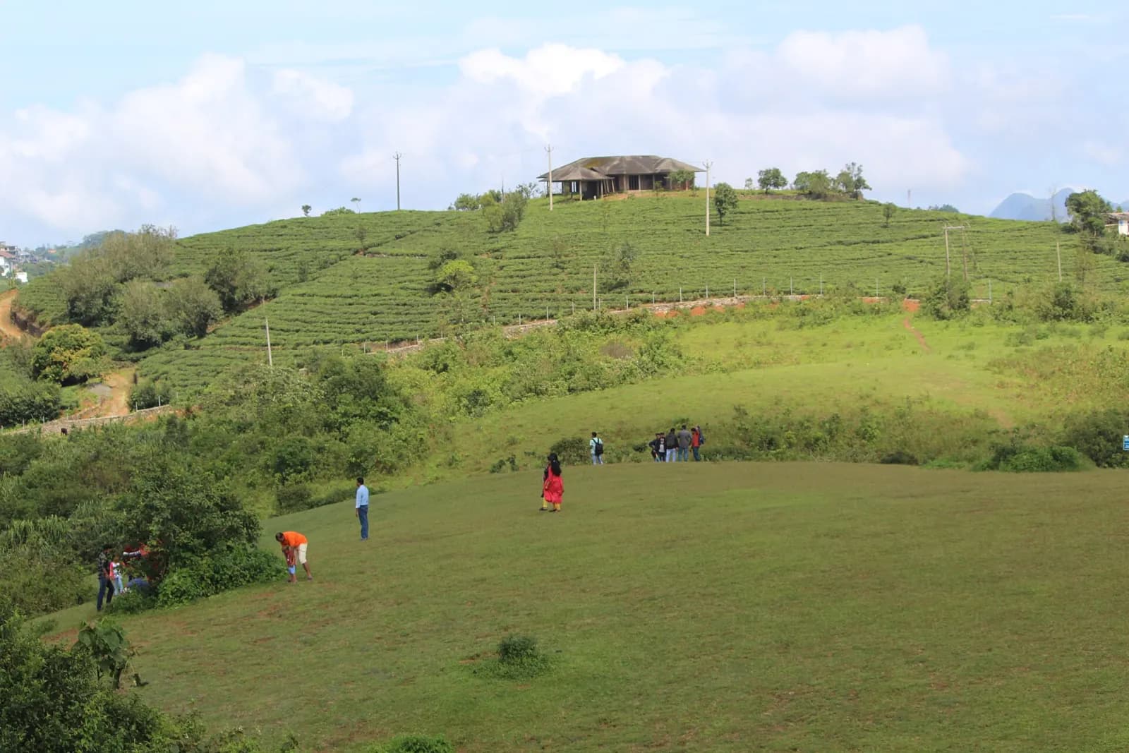Vagamon Meadows & Pine Forest Camping