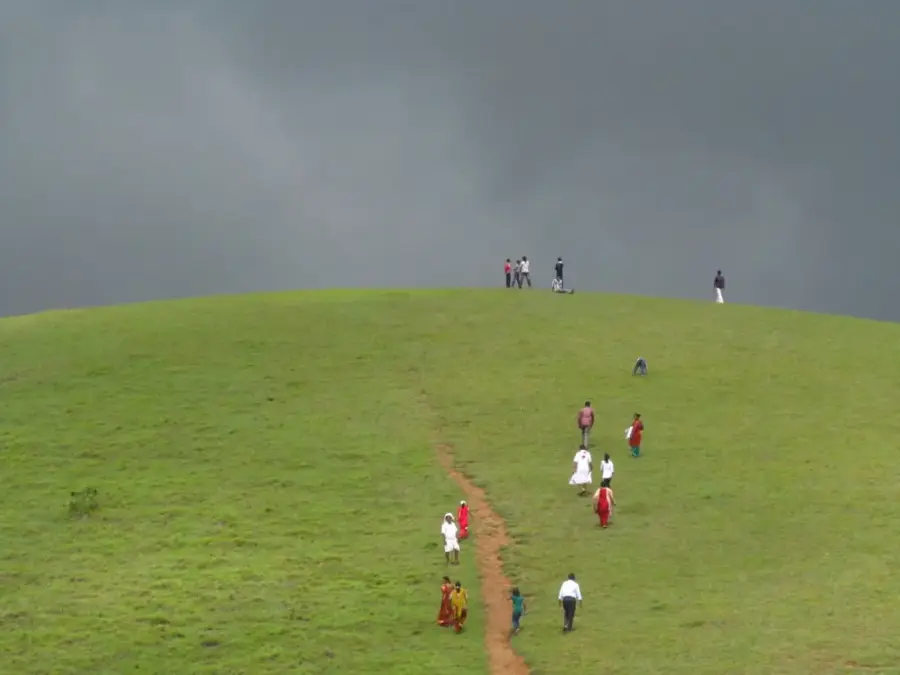 Vagamon Meadows & Pine Forest Camping photo 3