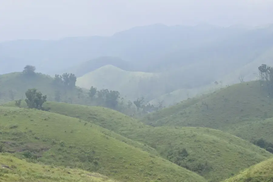 Vagamon Meadows & Pine Forest Camping photo 4