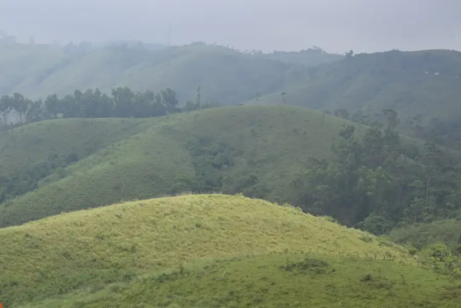 Vagamon Meadows & Pine Forest Camping photo 5