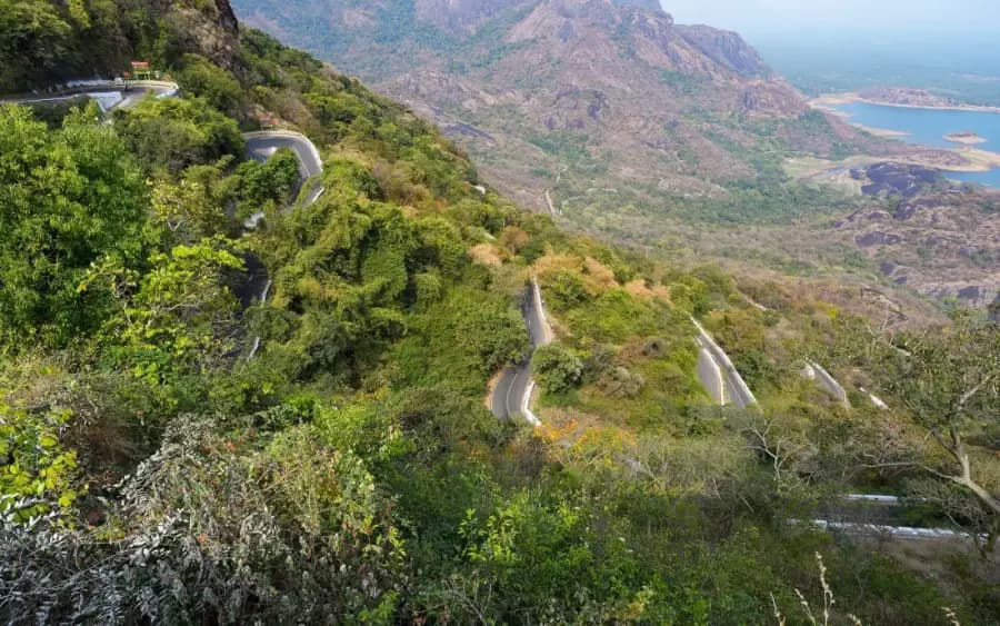 Valparai Tea Estates & Anamalai Wildlife Drive photo 4