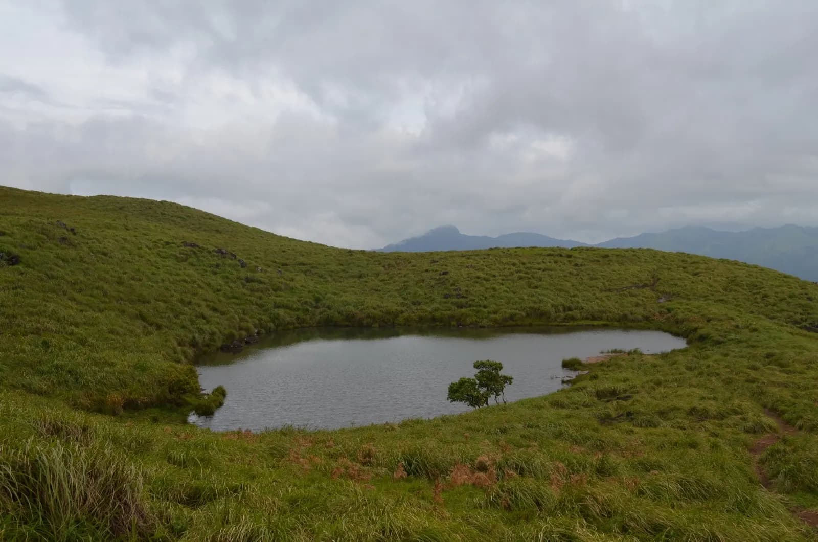 Wayanad Backpacking: Chembra Peak & Edakkal Caves