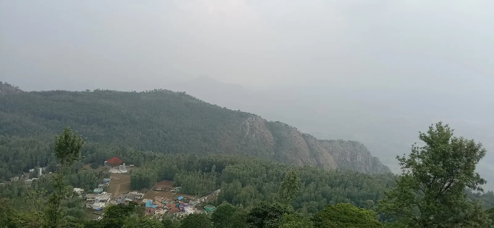 Yercaud Coffee Hills Quick Escape