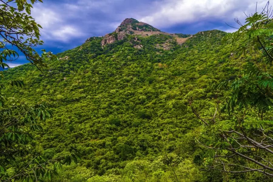 Yercaud Coffee Hills Quick Escape photo 3